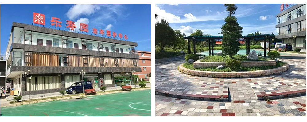 南通乐寿园健康管理服务有限公司
