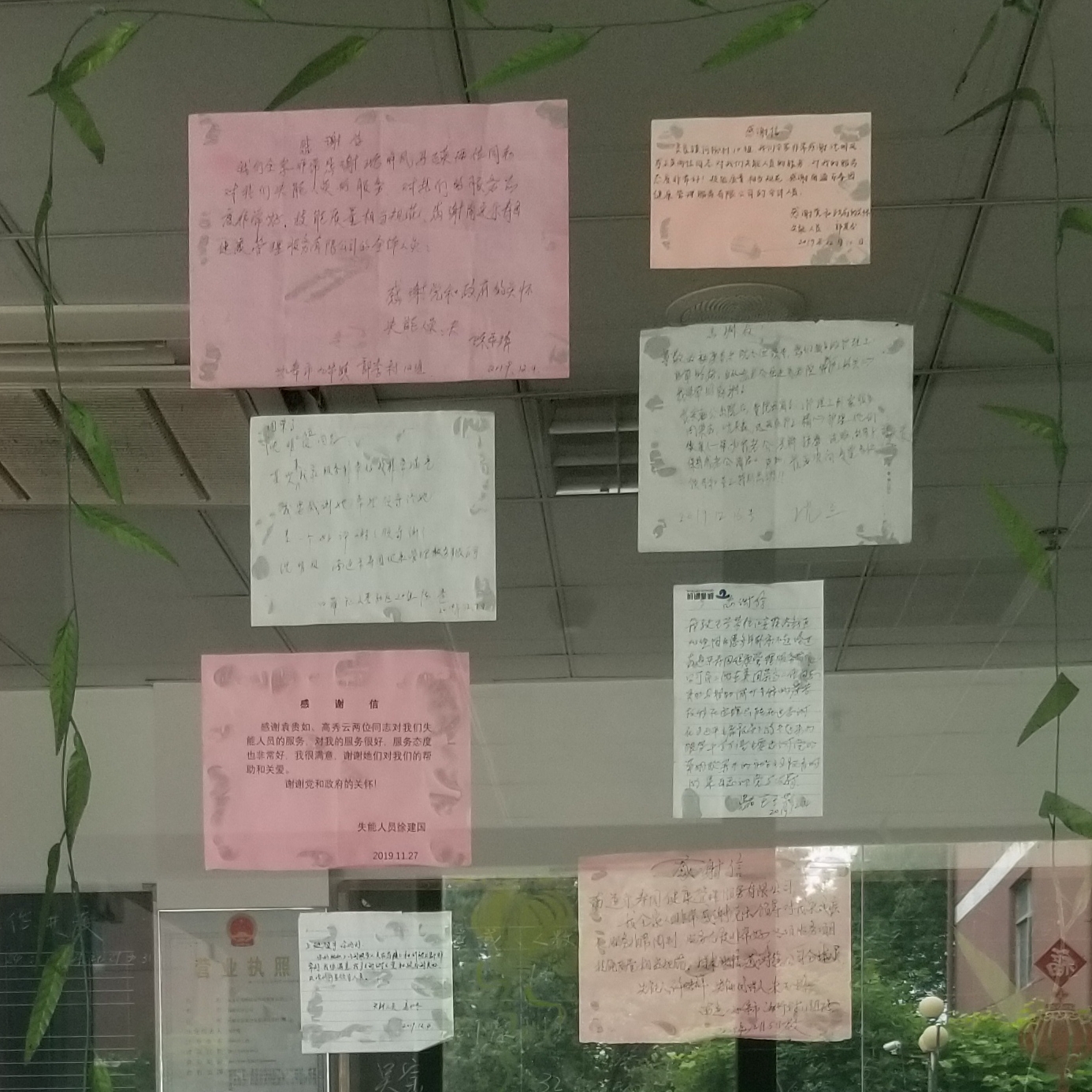 福康•乐寿园关于春天的浓浓谢意