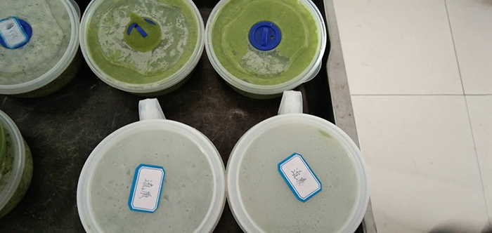 美食，像爱一样温柔