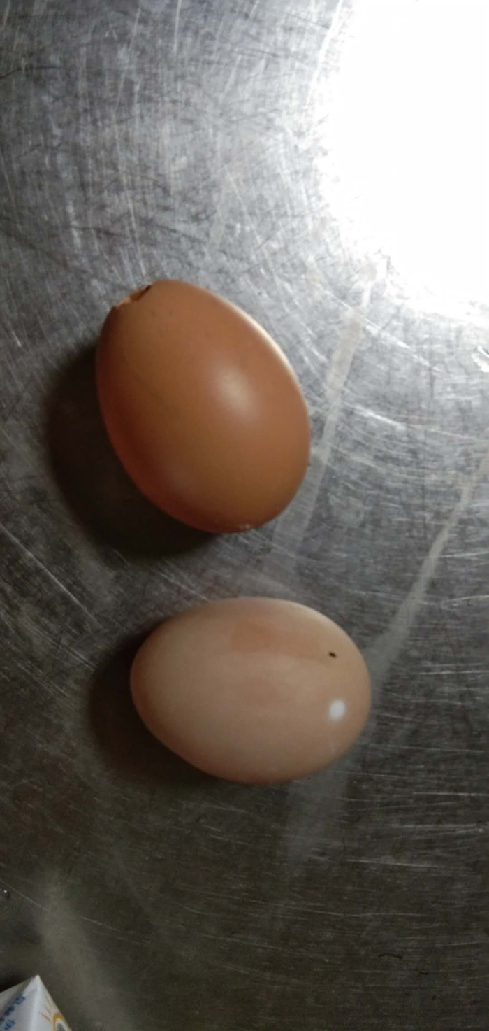 美食，像爱一样温柔